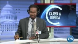 Caawa iyo Dunida