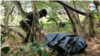 Un miembro el Ejército de Nicaragua en una jornada de limpieza en Managua. [Foto: Houston Castillo, VOA]