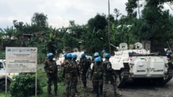Murisanga