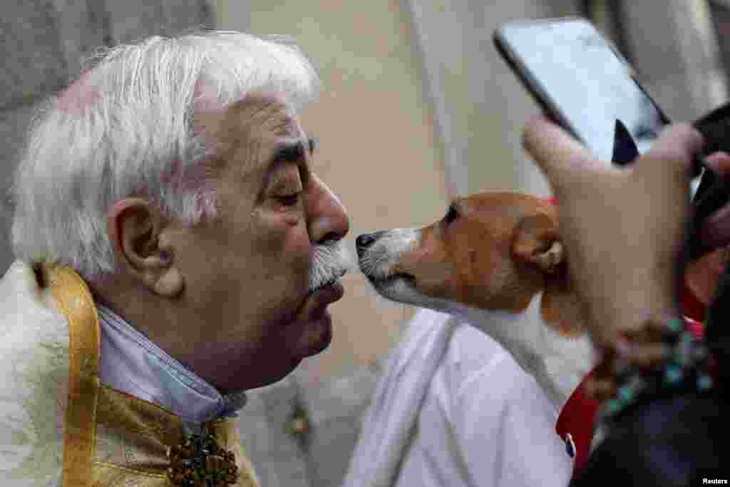 A priest whispers to a dog after blessing it on the day of Spain's patron saint of animals, Saint Anthony, outside San Anton Church in Madrid, Spain.